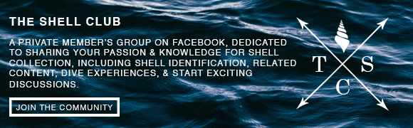 Join us at The Shell Club